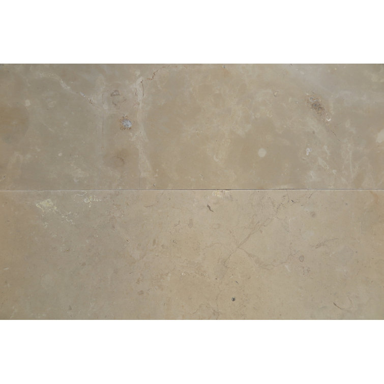 Stone & Tile Shoppe, Inc. Lagos Honed 16" x 16" Limestone Stone Look